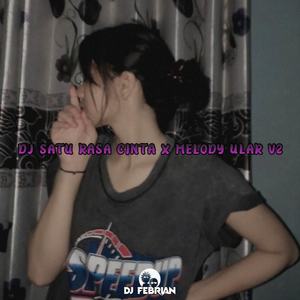 DJ SATU RASA CINTA X MELODY ULAR, Vol. 2