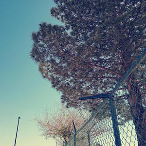 Palabra brava (Explicit)