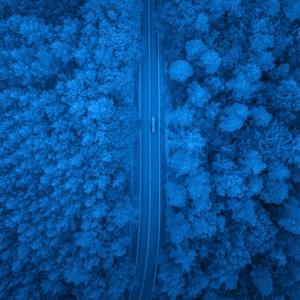 nothing left to feel