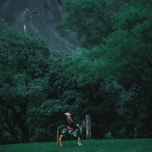 EVERYTHING (feat. Zilla Oaks & DJ Romie) (Explicit)