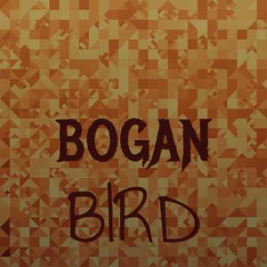 Bogan Bird