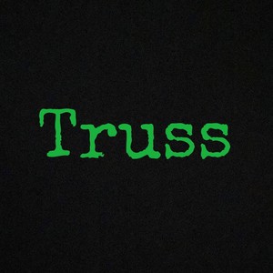 TRUSS (feat. Dan Psycho) [Explicit]