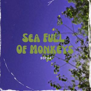 Sea Full Of Monkeys