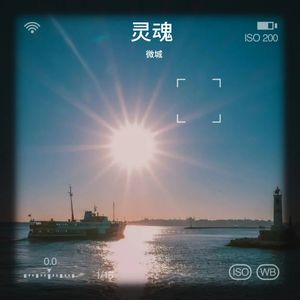 灵魂出走 - 微城封面