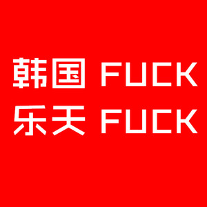 韩国****乐天****
