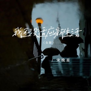 我还没适应新生活 (女版)