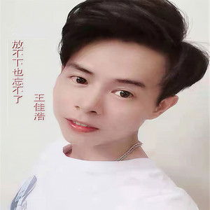 放不下也忘不了