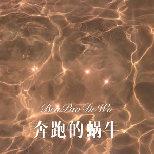 奔跑的蜗牛 (Remix)