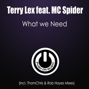 What We Need (Thomchris & Rob Hayes Mixes)