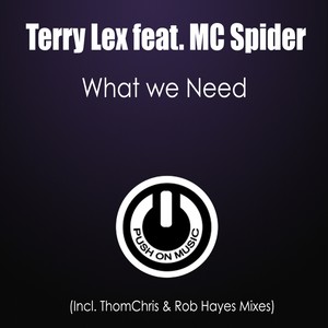 What We Need (Rob Hayes Mix)