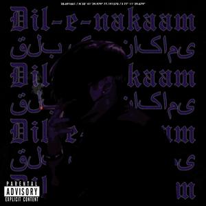 Dil e Nakaam (feat. jeanparkr & gavinhadley) [Explicit]