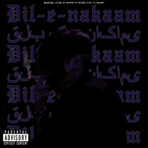 Dil e Nakaam(feat. jeanparkr & gavinhadley) (Explicit)