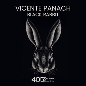 Black Rabbit (Radio Edit)
