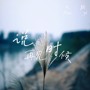 说再见时候
