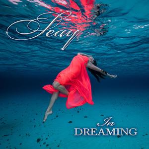 IN DREAMING (feat. Jeff Silverman)