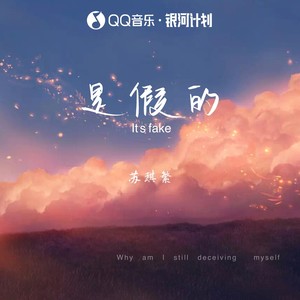是假的 (伴奏)