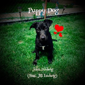 Puppy Dog (feat. Jill Ludwig)