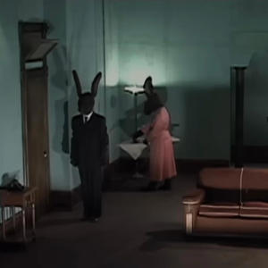 talking too much (echolocation)