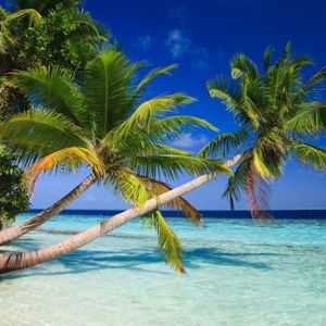 Ти на планеті (Explicit)