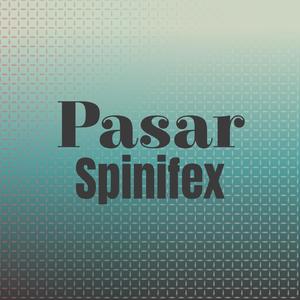 Pasar Spinifex