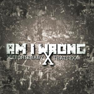 Am I Wrong (feat. Thatz 2x) [Explicit]