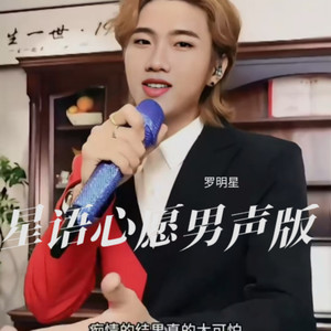 罗明星 - 星语心愿 (男声版)