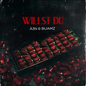 Willst du (Explicit)