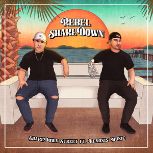 ShakeDown Street (Explicit)
