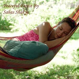 Peaceful Forest Music