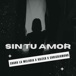 Sin Tu Amor