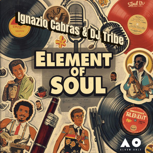 Elements Of Soul (DJ Tribe mix)