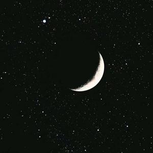 菠萝吹小熊 - 冬眠