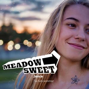 Tillsammans i sommarnatten (feat. Erik P & Jonas D)