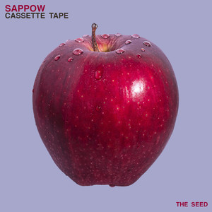 Sappow - Seagull (Original Mix)