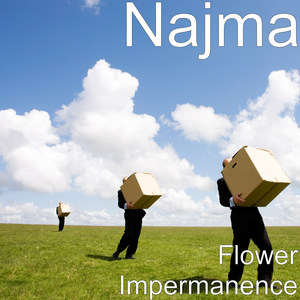 Flower Impermanence