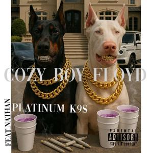 Platinum K9s (feat. Nathan)