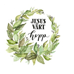 Jesus vårt hopp (feat. Emma-Lina Johansson)