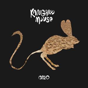 Kangaroo Mouse