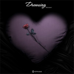 Let Me Show You Love (VIP Mix)