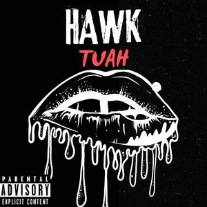 Hawk Tuah (Explicit)