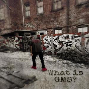 What Is GMS? (Explicit)