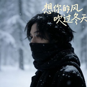 想你的风吹过冬天