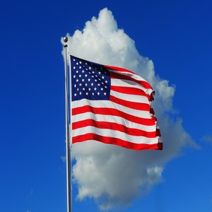 Fighting For Freedom