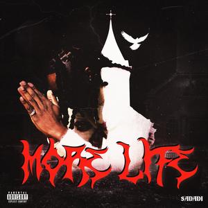 More Life (Explicit)