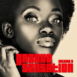 Groove Sensation, Vol. 5 (From House to Progressive)