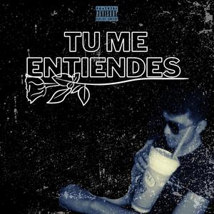 Tu Me Entiendes