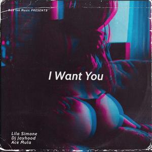 I Want You (feat. Dj Jayhood & Ace Mula) [Explicit]