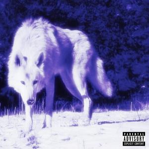 WINTER FREESTYLE (Explicit)