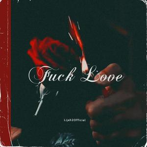 **** Love (Explicit)