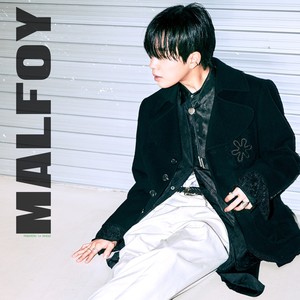 Malfoy (feat. 허성현 (Huh!)) (Explicit)